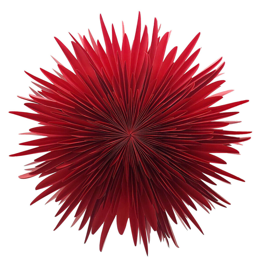 Red Indiand Star stella dalia Red 40 x 21 cm | VAN VERRE