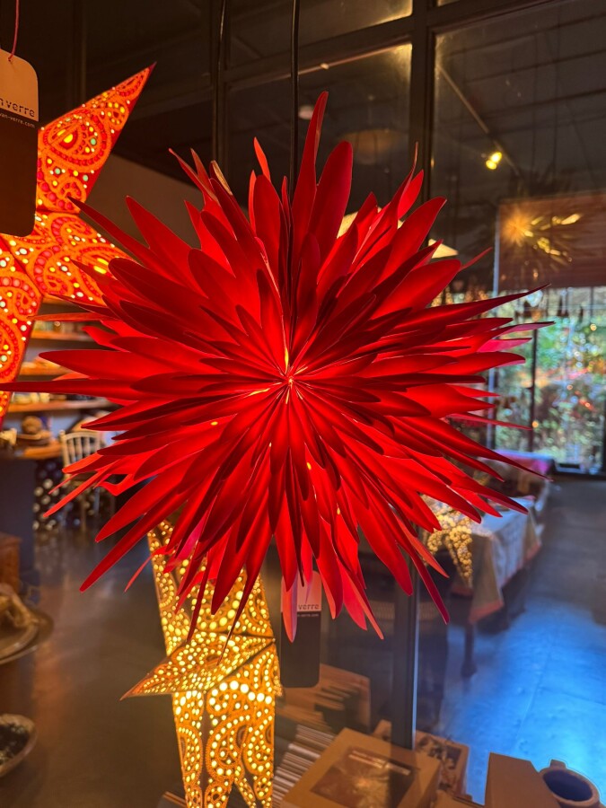 Red Indiand Star stella dalia Red 40 x 21 cm | VAN VERRE